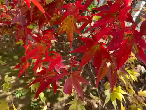 比々多神社の自然