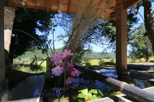 高司神社〜むすびの神の鎮まる社〜の手水