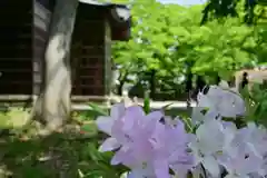 金峯神社(新潟県)