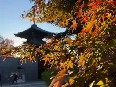 真正極楽寺（真如堂）(京都府)