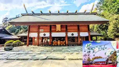 櫻木神社の御朱印