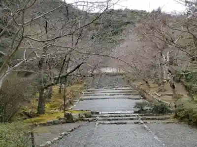 二尊院の{uncategorized: "未分類", other: "その他", undefined: "問題あり", building: "その他建物", grave: "お墓", sacred_gate: "鳥居", guardian: "狛犬", statue: "像", buddha: "仏像", history: "歴史", nature: "自然", garden: "庭園", animal: "動物", pagoda: "塔", temizu: "手水舎", mountain_gate: "山門・神門", sanctuary: "本殿・本堂", subordinate: "末社・摂社", art: "芸術", scenery: "景色", jizo: "地蔵", ema: "絵馬", goshuin: "御朱印", omikuji: "おみくじ", items: "授与品その他", amulet: "お守り", goshuincho: "御朱印帳", eats: "食事", festival: "お祭り", votive_dance: "神楽", shichigosan: "七五三参", wedding: "結婚式", experience: "体験その他", initially: "初詣", around: "周辺", anti_infection: "感染症対策"}