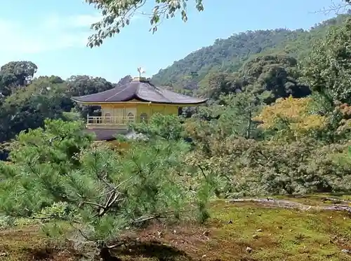 鹿苑寺（金閣寺）の庭園