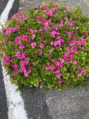 赤井稲荷(神奈川県)