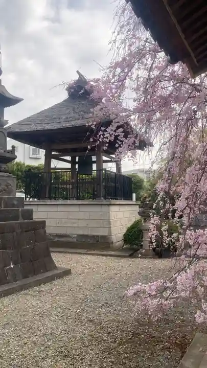 禪定院(東京都)