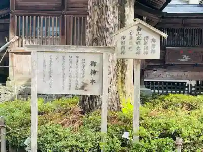 白山比咩神社(石川県)