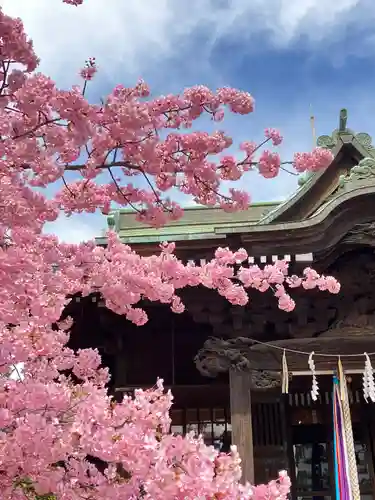 桜神宮(東京都)