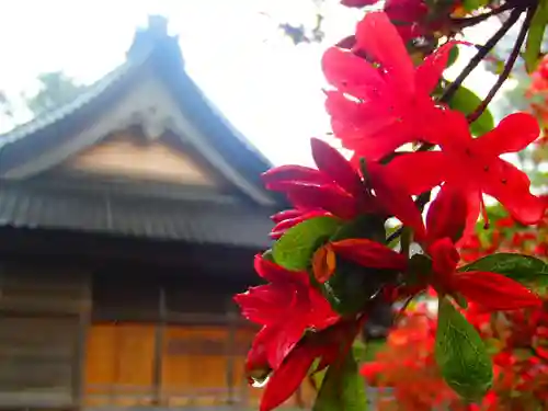 重蔵神社の自然