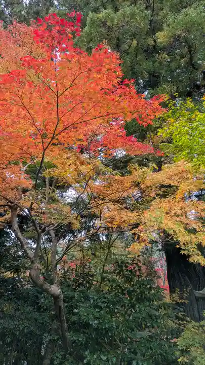 鍬山神社(京都府)