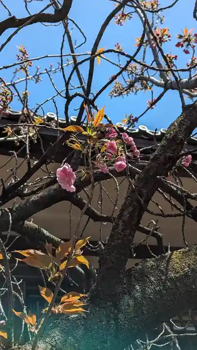 本昌寺(京都府)