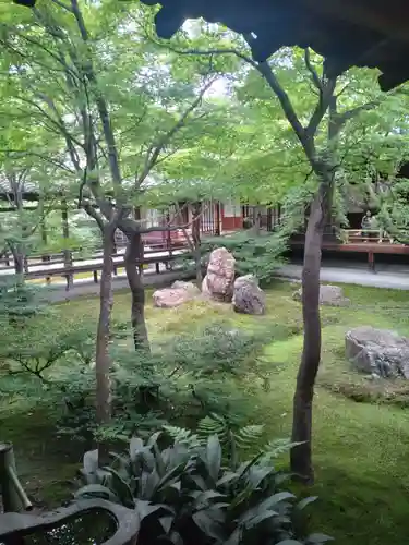 建仁寺（建仁禅寺）の庭園