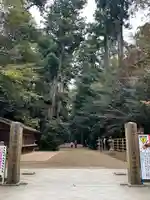 奥宮(鹿島神宮摂社)(茨城県)