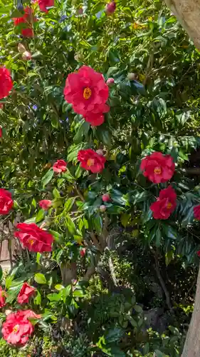 大乗寺(滋賀県)