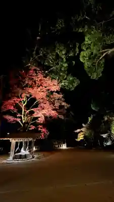 宝満宮竈門神社(福岡県)
