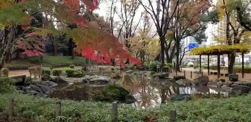 増上寺塔頭 三縁山 宝珠院の庭園