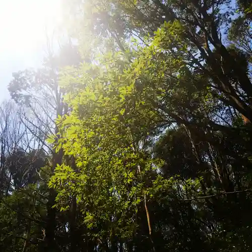 鹿島神宮の自然