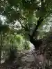石内のお大師さん 金剛院(広島県)