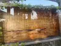 荒雄神社(宮城県)