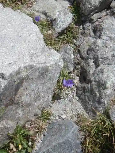 雄山神社峰本社の自然