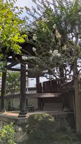 妙光寺(滋賀県)