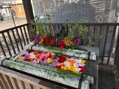 豊平神社の手水舎