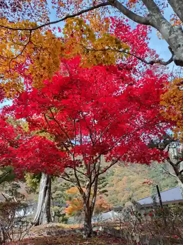 佛光山本栖寺(山梨県)