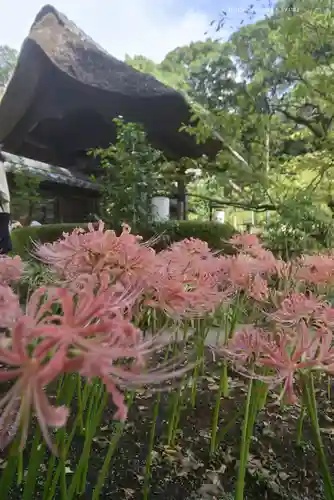 横浜　西方寺(神奈川県)
