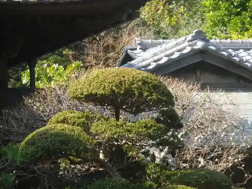 寿福寺の庭園