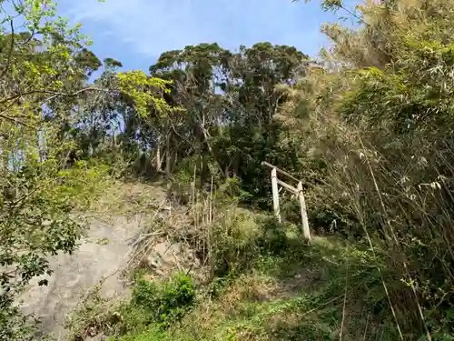 浅間神社の鳥居