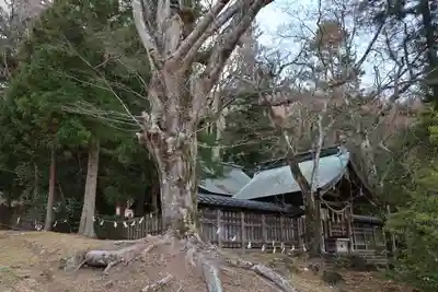 諏訪大社上社前宮(長野県)