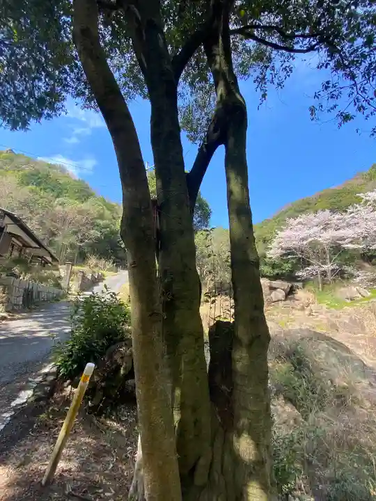 早瀧比咩神社の自然