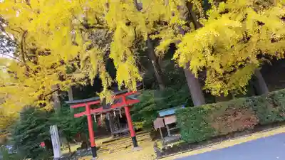 岩戸落葉神社の鳥居
