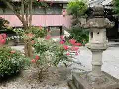 常倫寺の自然