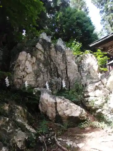 鹿島大神宮の自然