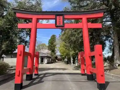 島津稲荷神社の鳥居