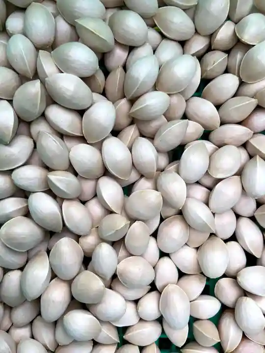 比々多神社(神奈川県)