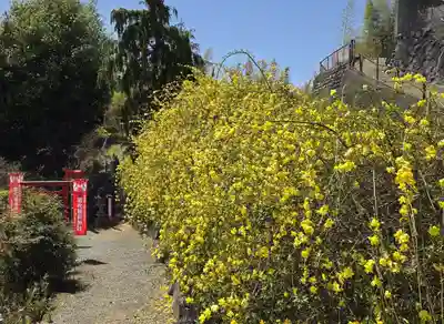 差出磯大嶽山神社 仕事と健康と厄よけの神さま(山梨県)