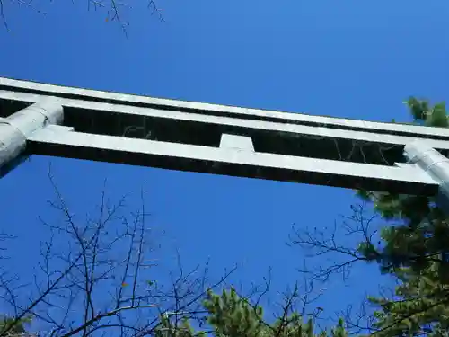 焼津神社の鳥居