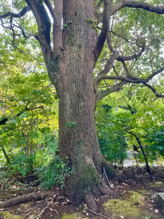 大聖院(神奈川県)