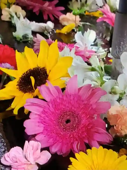 鳩森八幡神社の手水舎