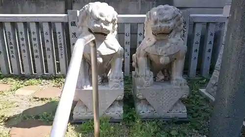 荻窪白山神社の狛犬
