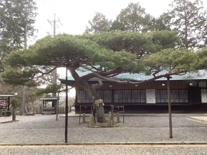 尾張冨士大宮浅間神社の自然