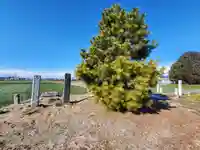 八幡宮(久保田町)(栃木県)