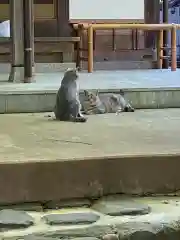 玉野御嶽神社の動物