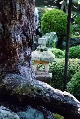 曼殊院門跡のその他建物