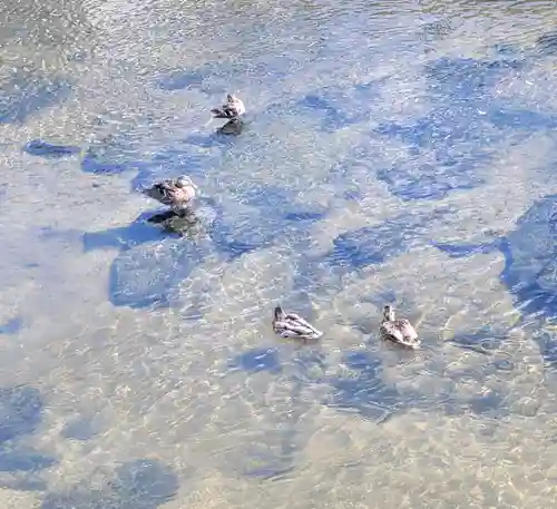 日吉神社(愛媛県)