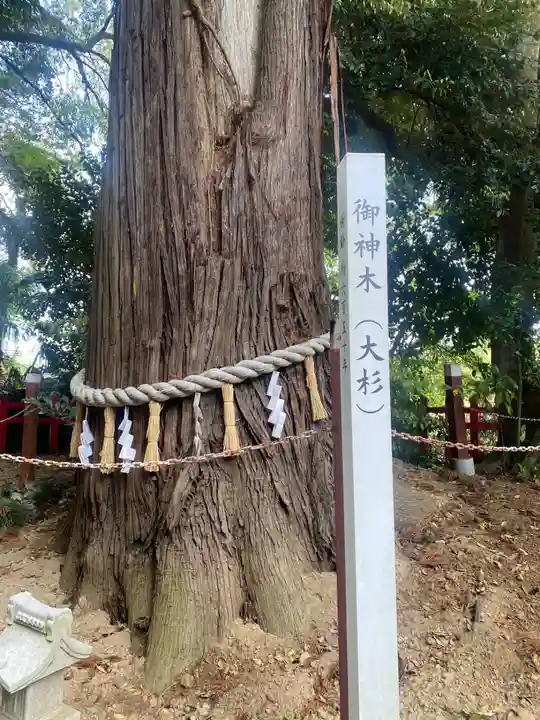 麻賀多神社奥宮(千葉県)