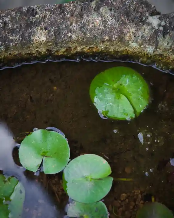 善光寺大勧進(長野県)