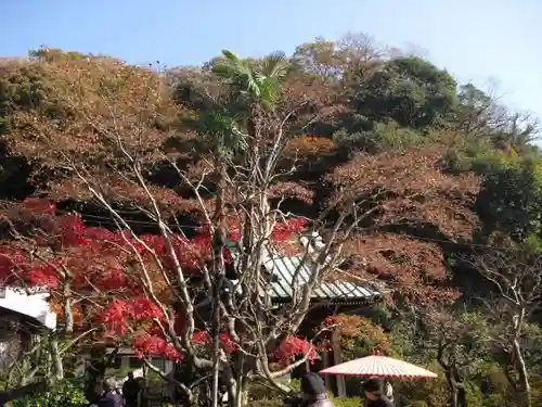 海蔵寺の景色