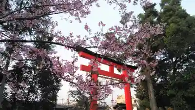 賀茂別雷神社(上賀茂神社)の鳥居
